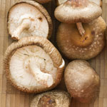 Shiitake